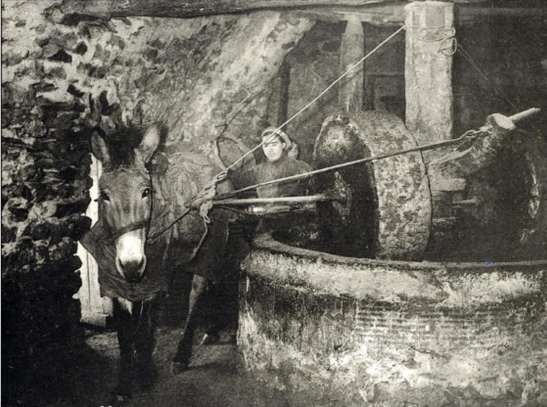 Olive Oil Mill Apartment Kokkala Exterior foto